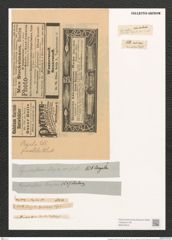 Cymatopleura regula (Ehr.) Ralfs. (de-Toni-Nr.: Genus 54, Species 2413) Zeichnungen Sammlung Grunow (NHMW-BOT-W0373042)